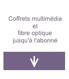 Coffrets multimédia et fibre optique jusqu'à l'abonné