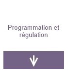 Programmation et régulation