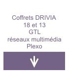 Coffrets DRIVIA 18 et 13, GTL, réseaux multimédia, Plexo