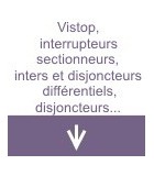 Vistop, interrupteurs sectionneurs, inters et disjoncteurs différentiels, disjoncteurs DX3 et DNX3