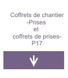 Coffrets de chantier - Prises et coffrets de prises  - P17