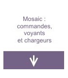 Legrand 076630 Interrupteur à Clé pour Baes Mosaic, 2 Modules en