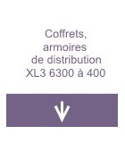 Coffrets et armoires de distribution XL3 6300 à 400