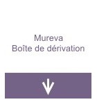 Mureva Boite de dérivation