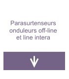 Parasurtenseurs, onduleurs off-line et line intera