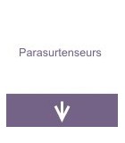 Parasurtenseurs