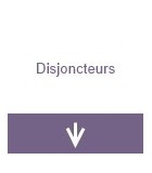 Disjoncteurs