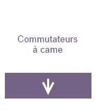 Commutateurs à came