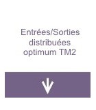 Entrées/Sorties distribuées optimum TM2