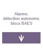 Alarme, détection autonome et blocs B.A.E.S.