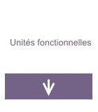 Unités fonctionnelles