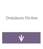 Onduleurs On-line