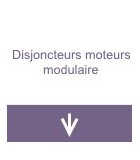 Disjoncteurs moteurs modulaire