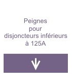 Peignes pour disjoncteurs inférieurs à 125A