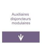 Auxiliaires disjoncteurs modulaires