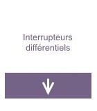 Interrupteurs différentiels