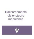 Raccordements disjoncteurs modulaires