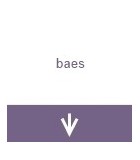 B.a.e.s