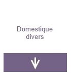 Domestique divers
