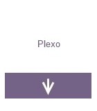 Plexo