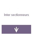 Interrupteur sectionneur