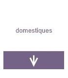 Domestiques