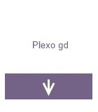 Nouveau plexo gd