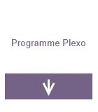 Programme plexo