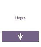 Hypra