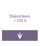 Disjoncteurs inférieur à 250A