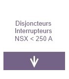 Disjoncteurs et inter NSX inférieur à 250A