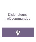 Disjoncteurs télécommandés