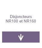 Disjoncteur NR100 et NR160