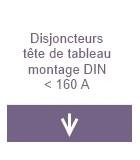 Disjoncteurs tête de tableau montage DIN inférieur à 160A