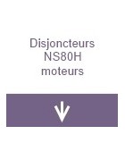 Disjoncteurs NS80H moteurs