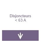 Disjoncteurs inférieur à 63A