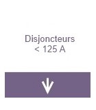 Disjoncteurs inférieur à 125A