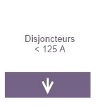 Disjoncteurs inférieur à 125A