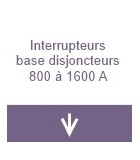 Interrupteurs base disjoncteur - de 800 à 1600A