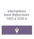 Interrupteurs base disjoncteur - de 1600 à 3200A
