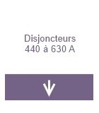 Disjoncteurs 440 à 630A