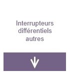 Interrupteur différentiel autre